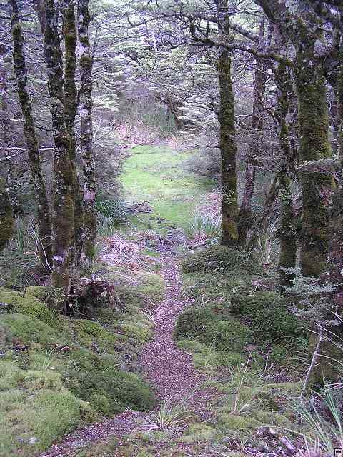NZ leden-unor 2006 189.jpg
